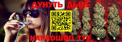молекула духа Пенза
